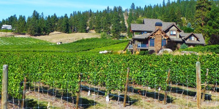 History of Canadian winemaking