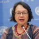 Special Rapporteur on Indigenous Peoples